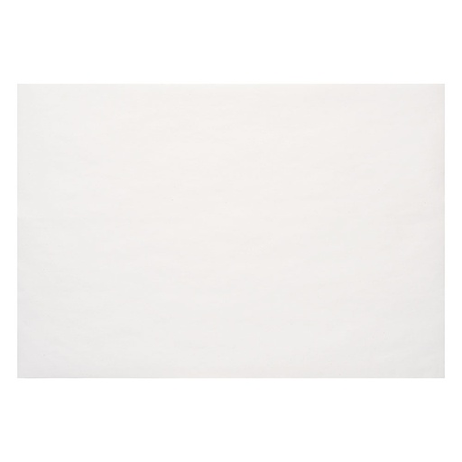 [9514WH] White Placemats 9.5x14in 1M